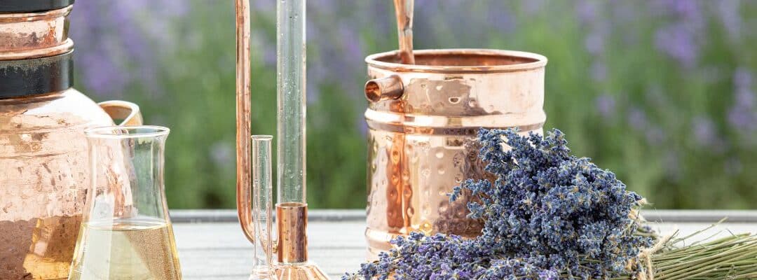 From Plant to Essence: Exploring Essential Oil Distillation Methods