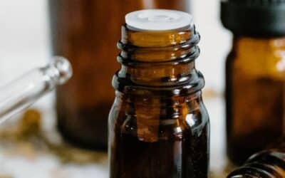 Preserving Nature’s Essence: Everything You Need to Know