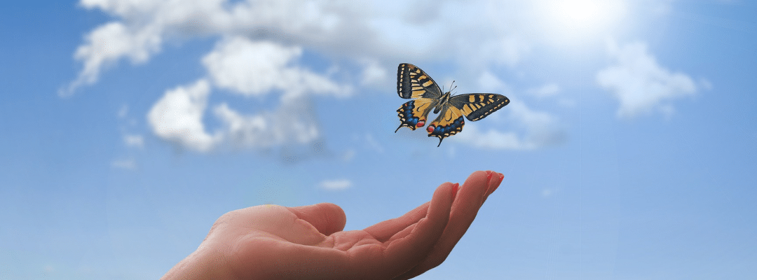 April Awakening: Be the Apprentice