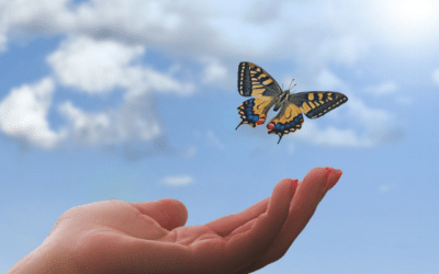 April Awakening: Be the Apprentice