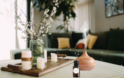 Essential Oils for Everyday Life: Home Sanctuary