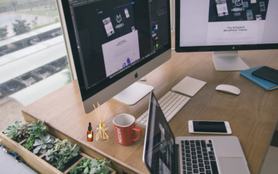 Essential Oils for Everyday Life: Office Wellness