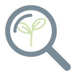 products researched, sustainable and effective at Botanic Aromatics