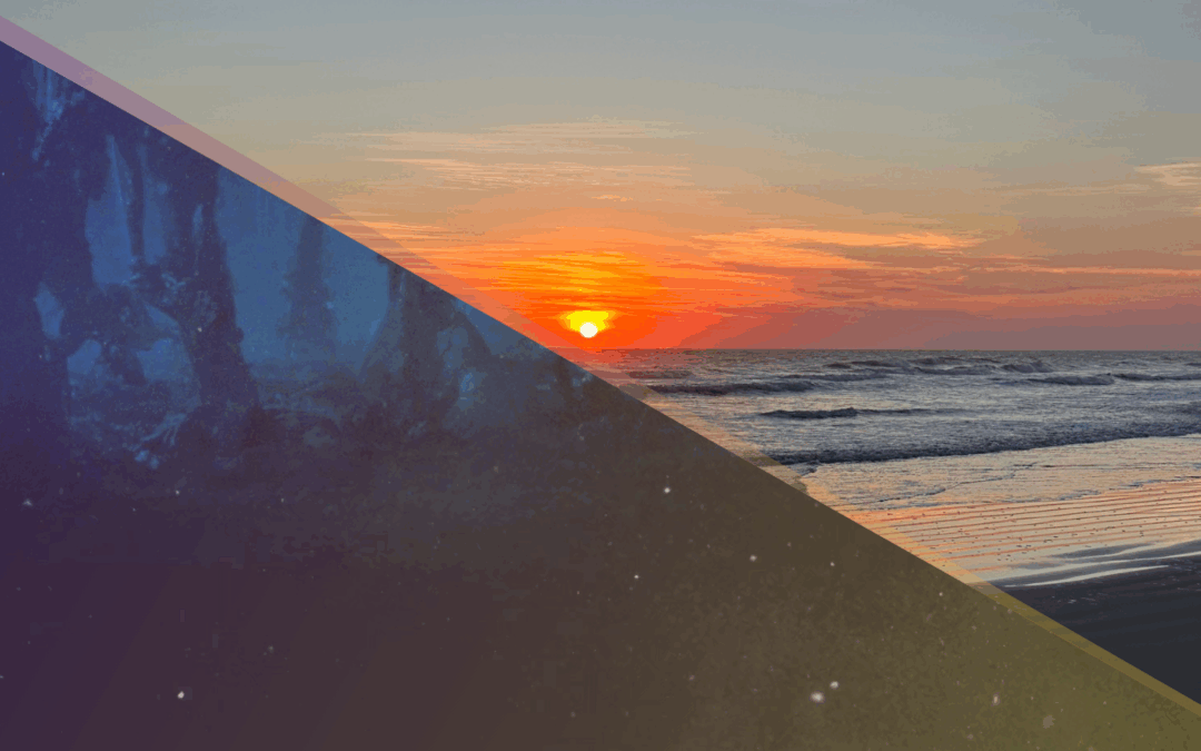 What Carries Us Forward: Reflections on Hope and Connection