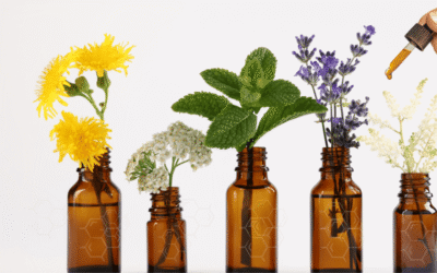 The Chemistry of Support: How Plants Work with the Body
